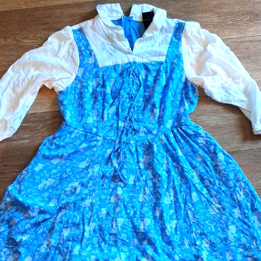 Disney Princess Belle Inspired Dress